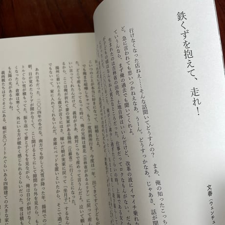 Neverland Diner　二度と行けない北京のあの店で