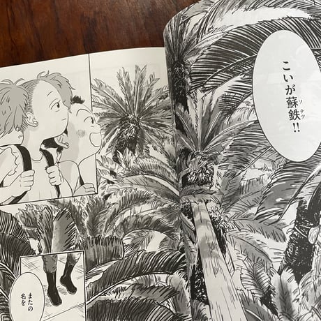 棕櫚の木の下で　1巻