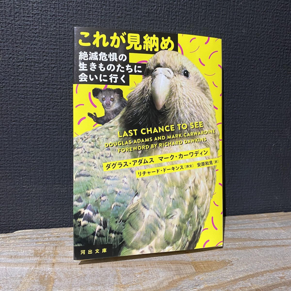 これが見納め 絶滅危惧の生きものたちに会いに行く | 古本と新刊 scene