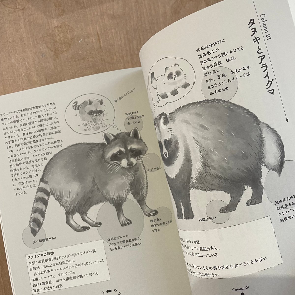 1 / 3 所ジョージ 成りさがり (1978年) 豆たぬきの本 昭和55年11刷】 所ジョージ セロリパセリ PART2 成りさがり