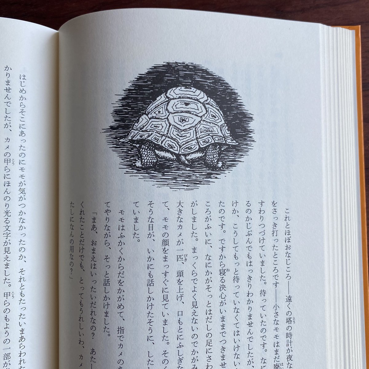 ももページ モモ | 古本と新刊 scene