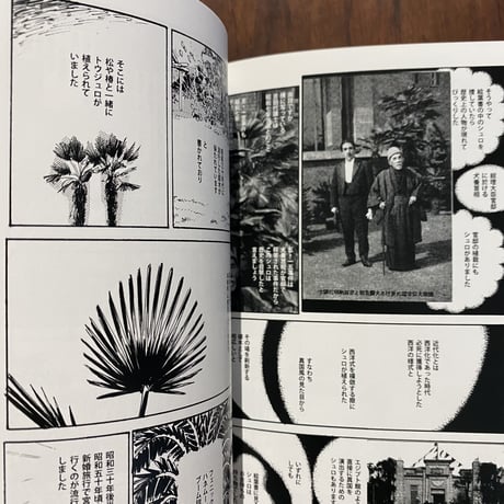 写真とまんがと文　シュロ2　※ぴょんぬりらさん直筆サイン入り