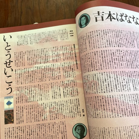 【古本】STUDIO VOICE 1992/02　文学へ。