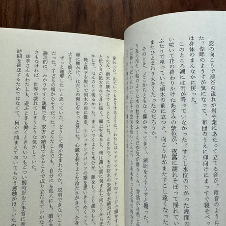 湖まで