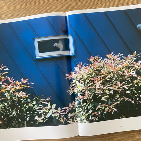 【古本】アイム　Snapshots taken by homeless people.