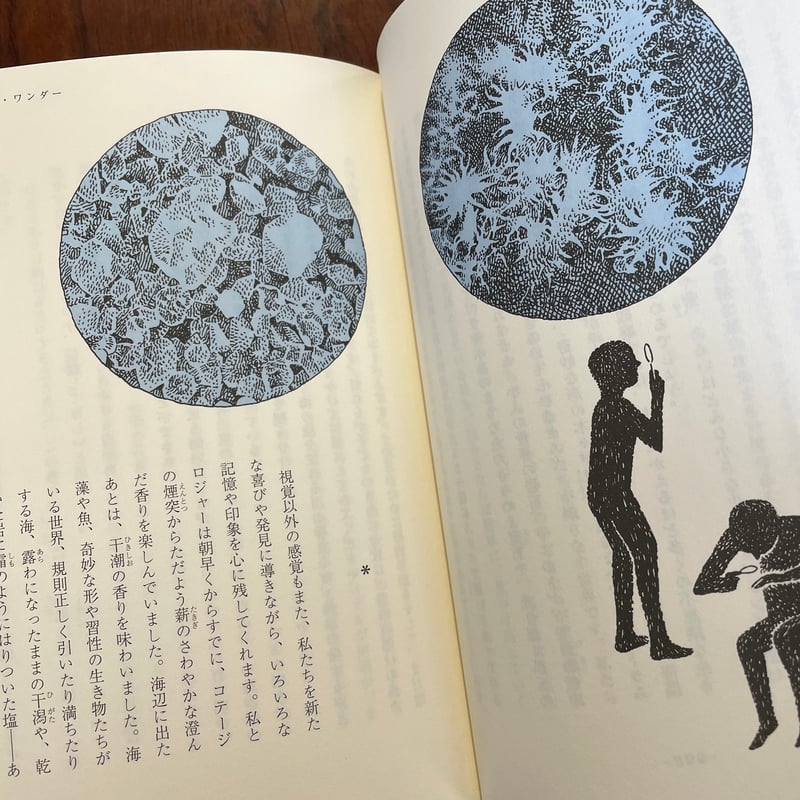 センス・オブ・ワンダー | 古本と新刊 scene