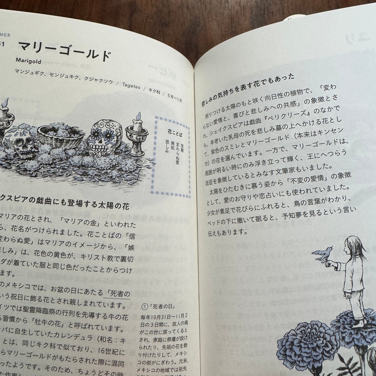 古本】花のことば12か月 | 古本と新刊 scene