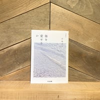 傷を愛せるか　増補新版
