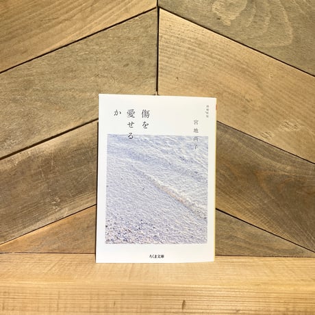 傷を愛せるか　増補新版