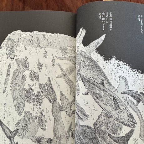 【古本】海獣の子供　全5巻セット