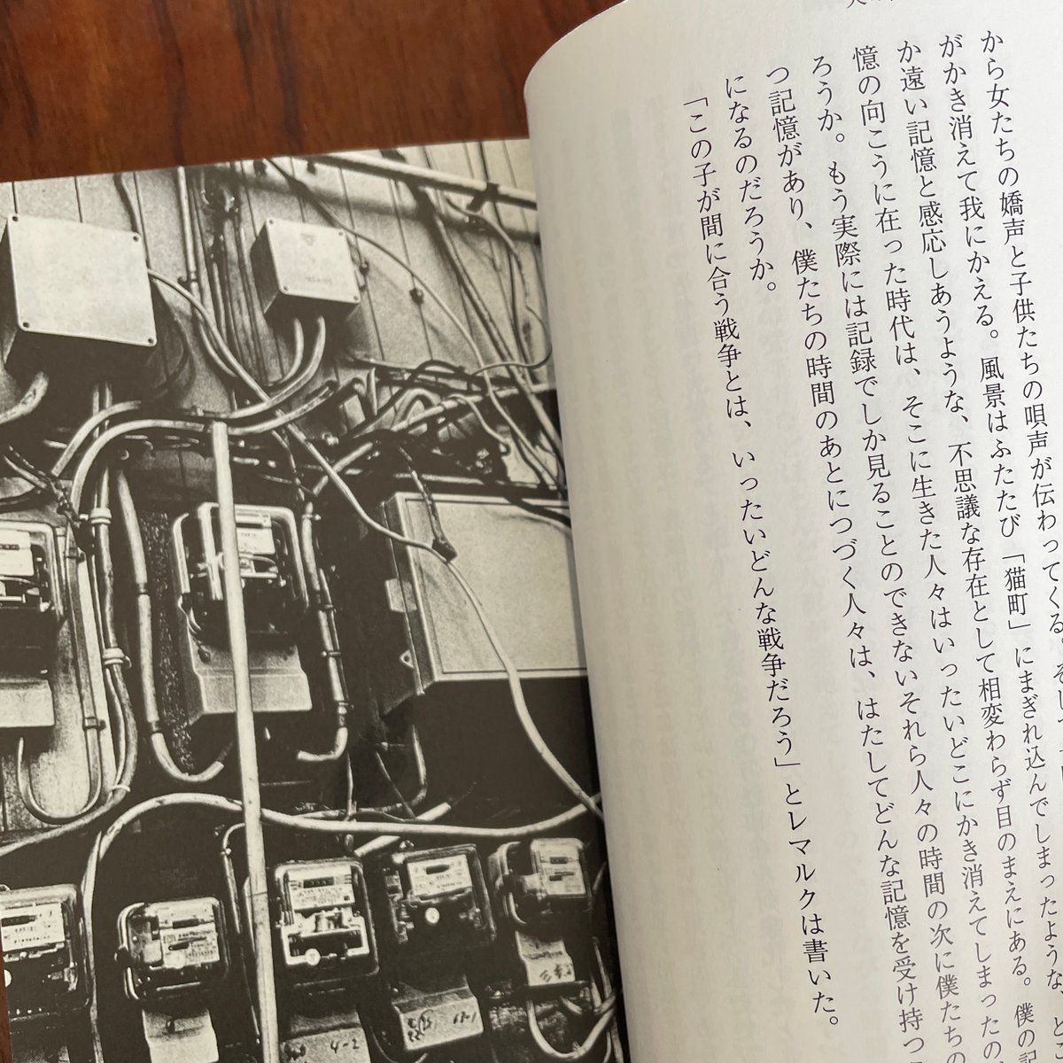 犬の記憶 | 古本と新刊 scene