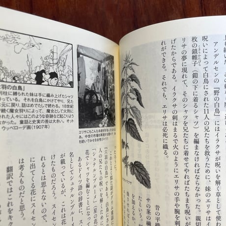 魔女の薬草箱