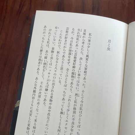 【古本】稲垣足穂　飛行機の黄昏