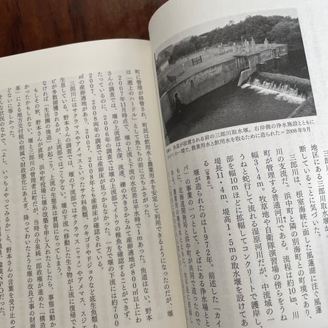 水辺の小さな自然再生　人と自然の環を取り戻す