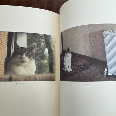【古本】猫のよびごえ