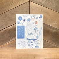 知らない草探しの会