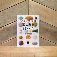 いい感じの石ころを拾いに