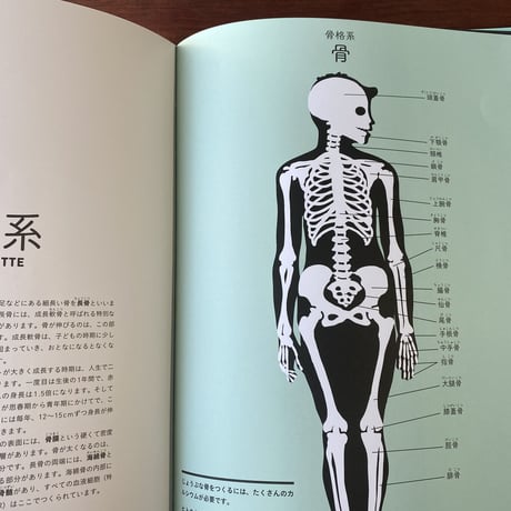 世界で一番美しい切り絵人体図鑑