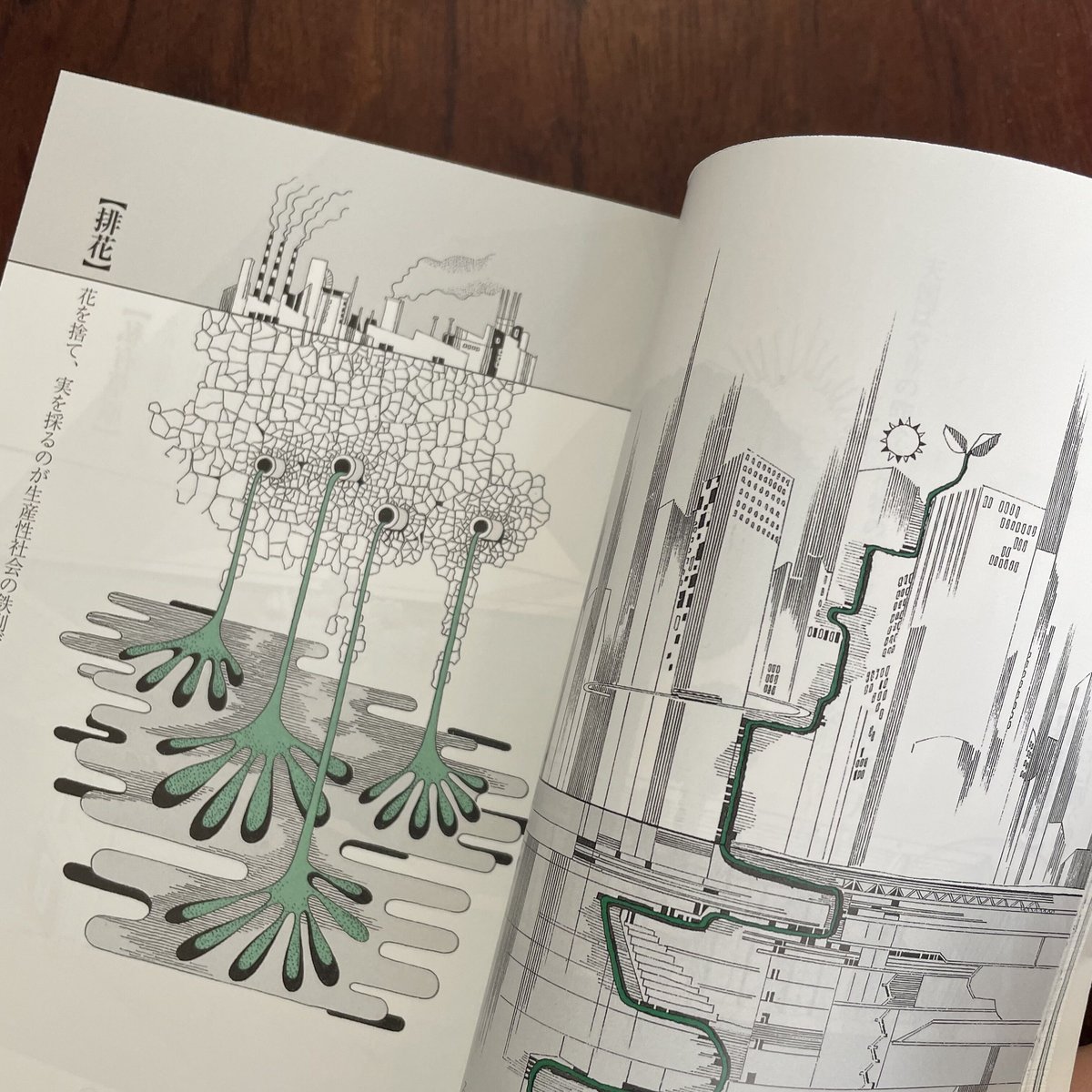 真鍋博の植物園と昆虫記 | 古本と新刊 scene