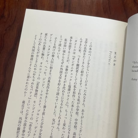 ギンガムチェックと塩漬けライム　翻訳家が読み解く海外文学の名作