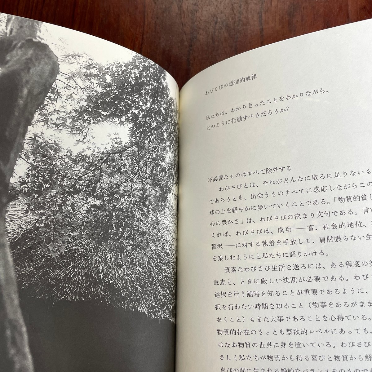わさび　洋書　6点 S&B 本生 本わさび 43g 香り別格「本わさび」使用