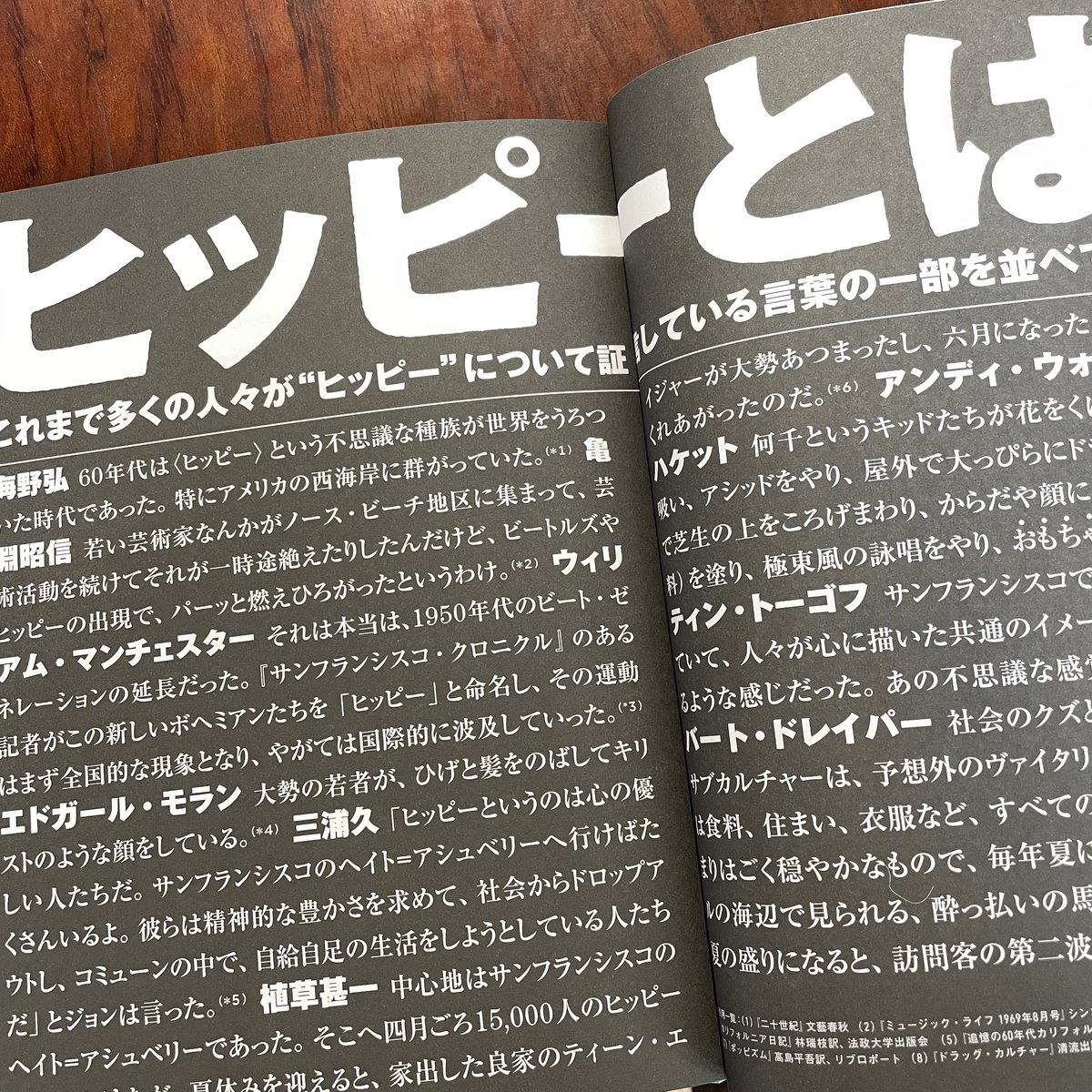 HiPPiE DICTIONARY ヒッピーディクショナリー洋書古書 Hippie Dictionary: A Cultural Encyclopedia of the 1960s and