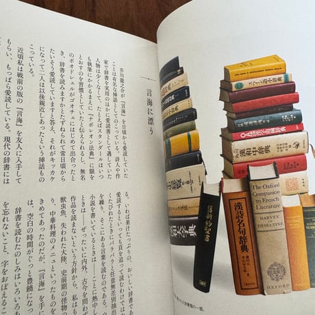 開高健の本棚（新装版）