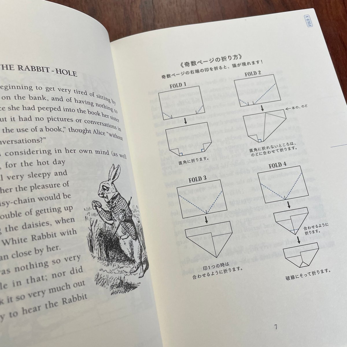 値下げ済み ブックフォールディング 猫 D. HINKLAY 本人直筆サイン入り