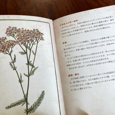 中世の庭の薬草事典　癒しと恵みのハーブ