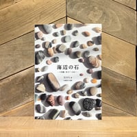 海辺の石　小図鑑・見立て・石並べ