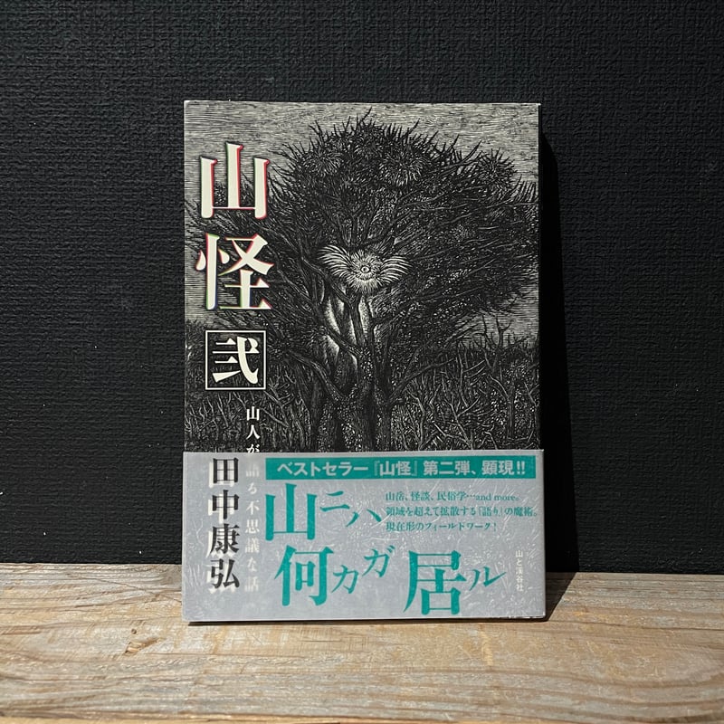 古本】山怪 弐 山人が語る不思議な話 | 古本と新刊 scene