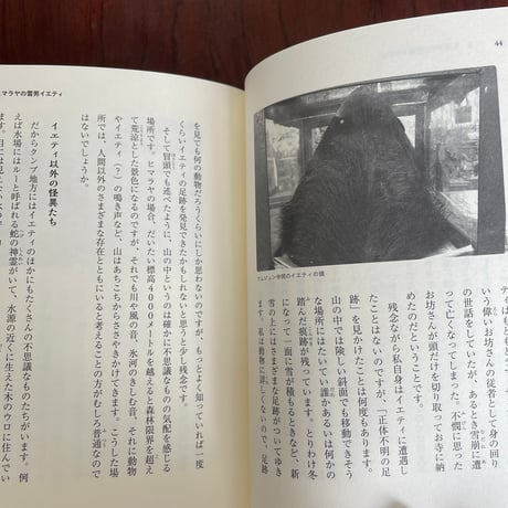 【古本】世界ぐるぐる怪異紀行　どうして”わからないもの”はこわいの？