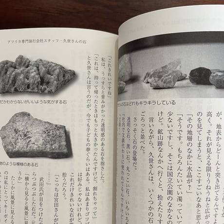いい感じの石ころを拾いに