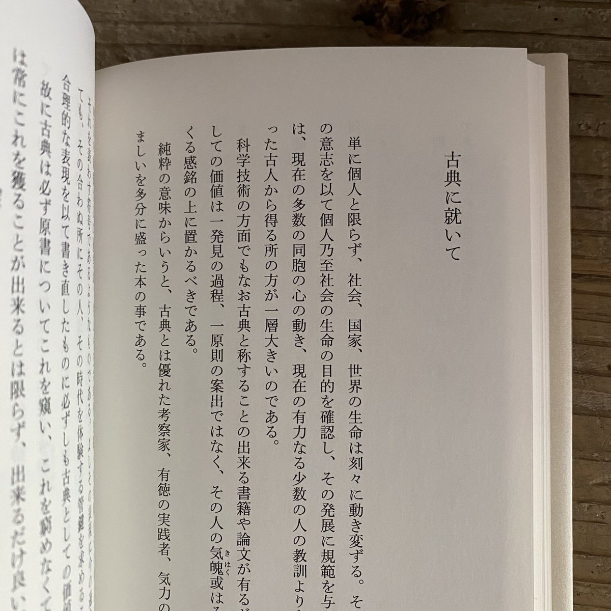 木下杢太郎 荒庭の観察者 | 古本と新刊 scene