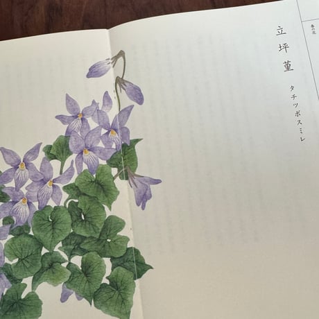 野山花花図譜