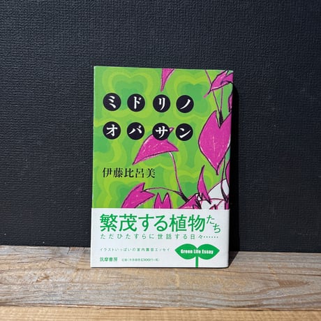 【古本】ミドリノオバサン