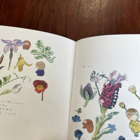 知らない草探しの会