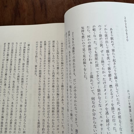 あの子が火山で待っている