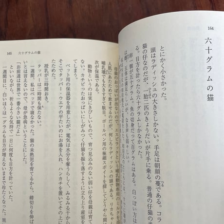 【古本】向田邦子　ベスト・エッセイ
