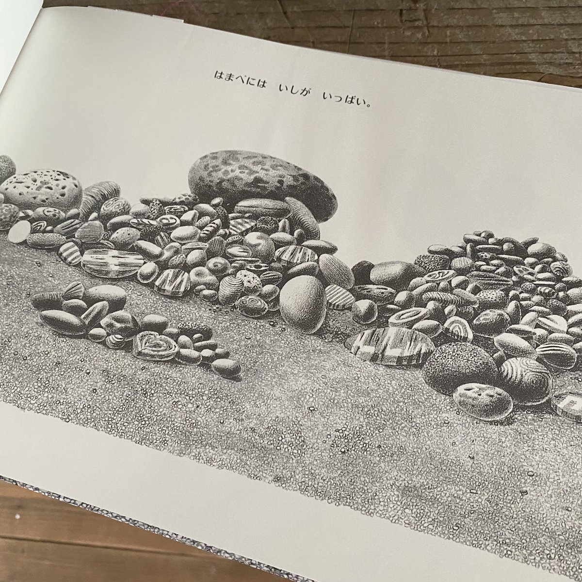 はまべにはいしがいっぱい | 古本と新刊 scene