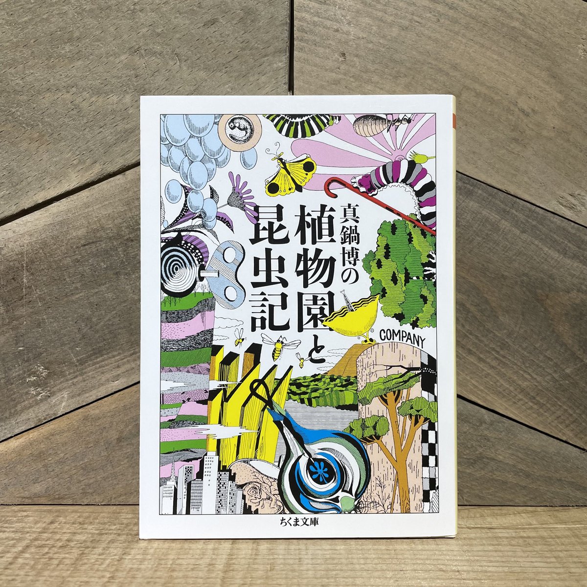 真鍋博の植物園と昆虫記 | 古本と新刊 scene