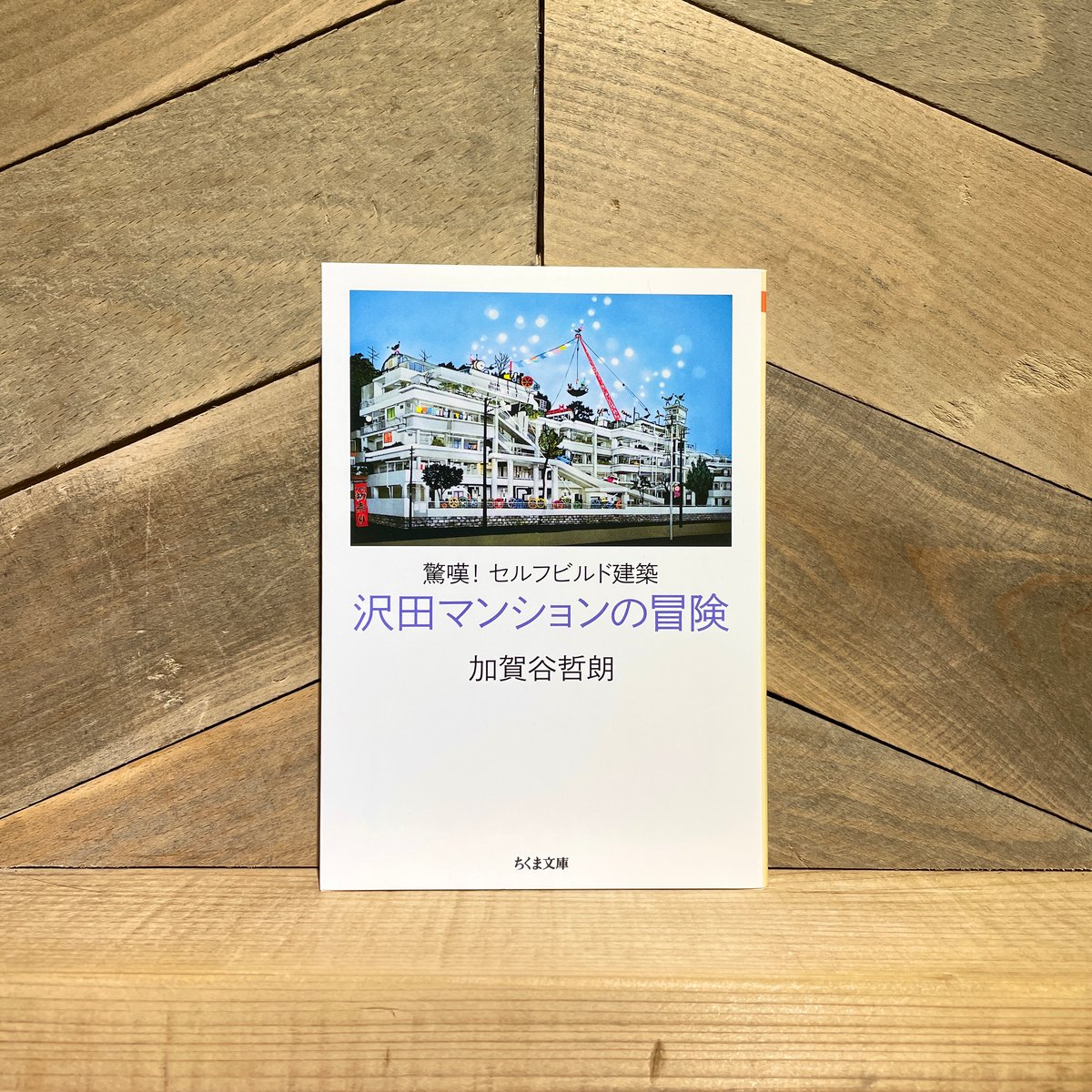 沢田マンション超一級資料 : 世界最強のセルフビルド建築探訪 沢田マンション超一級資料 : 世界最強のセルフビルド建築探訪