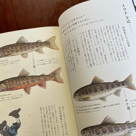 ミルクの中のイワナ　film book