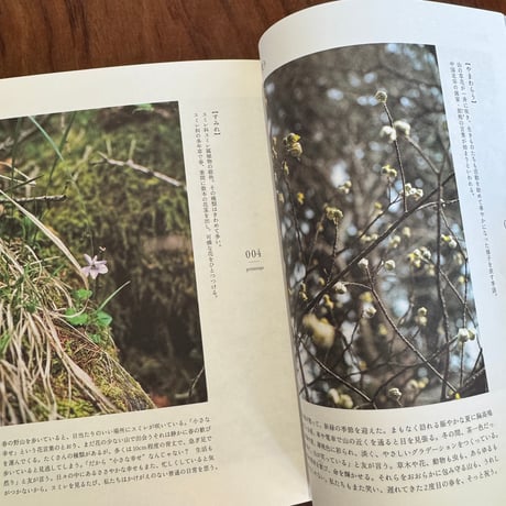山の時刻