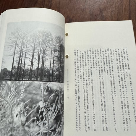 季刊日記　2号　特集：日記のくるしみ／日記と植物