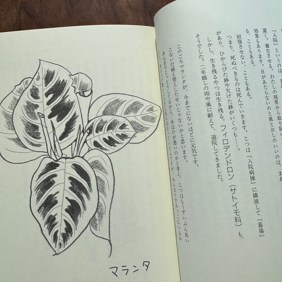 692543db5d38e96cb95c43aa