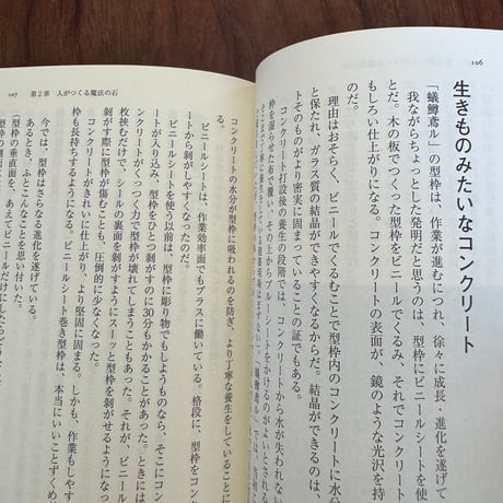 蟻鱒鳶る！　自力でビルを建てた男