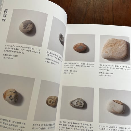 海辺の石　小図鑑・見立て・石並べ