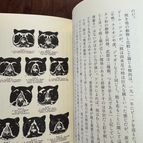 熊　人類との「共存」の歴史　新版
