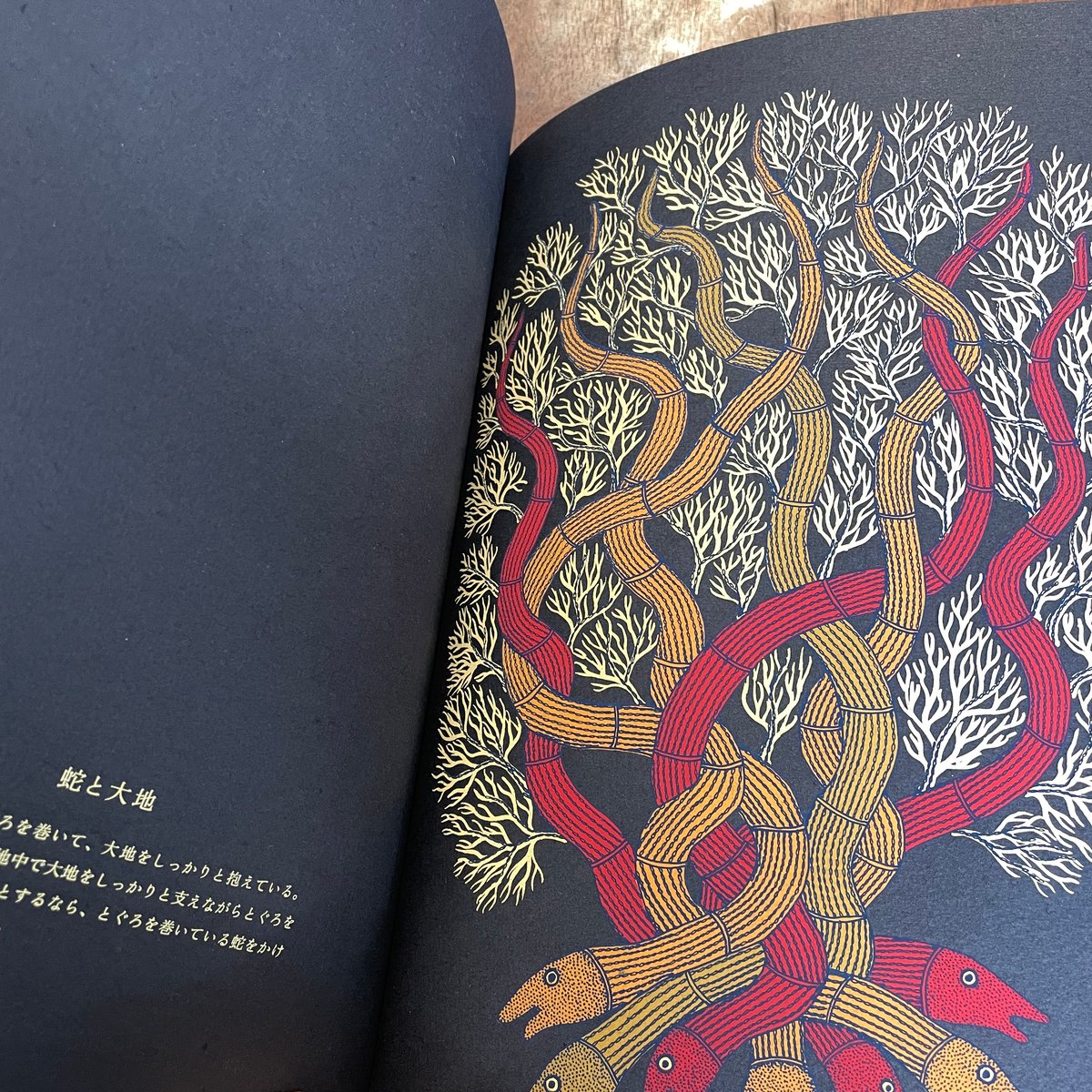 夜の木 | 古本と新刊 scene